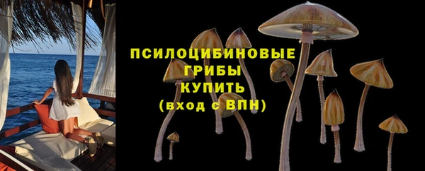 PSILOCYBIN Алексеевка