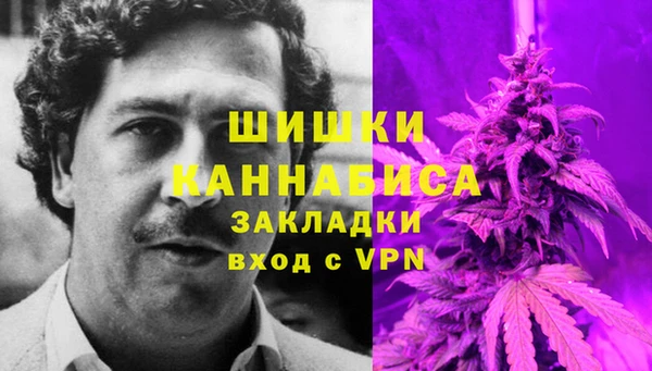 PSILOCYBIN Алексеевка