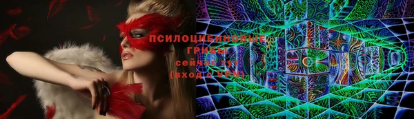 герыч Алзамай
