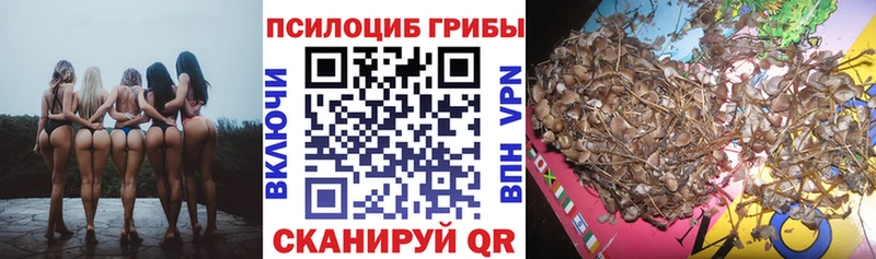 Псилоцибиновые грибы мухоморы кракен онион Липки